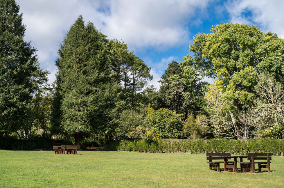 11santo da serra.jpg